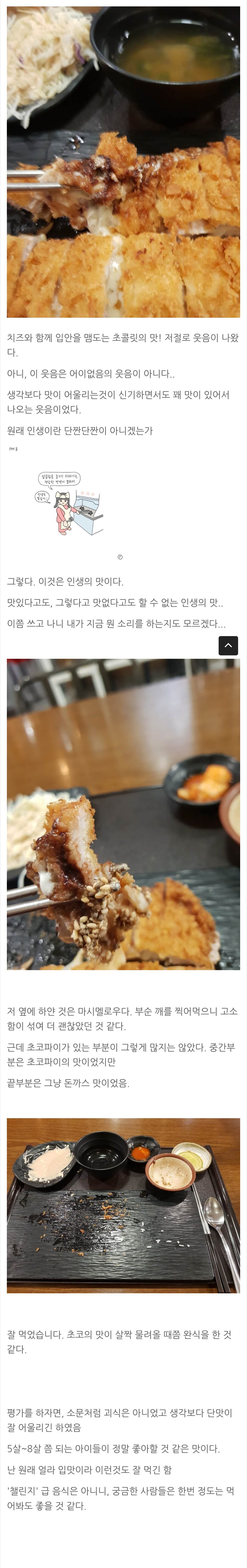 초코파이 돈까스에 도전한 후기.jpg_2.jpg