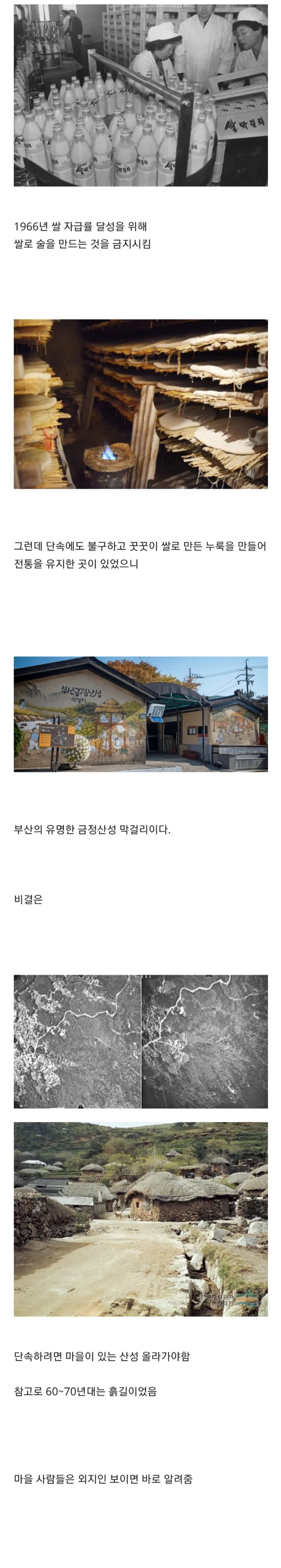 쌀 막걸리가 불법이던 시절 양조장의 생존법_1.webp