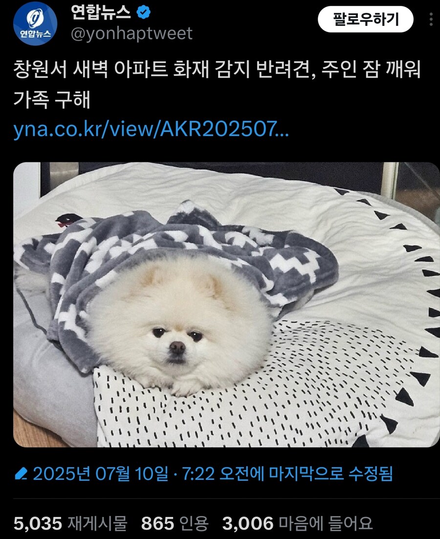 집에 불이 나자 반려견이 가족 깨워서 진화_2.jpg