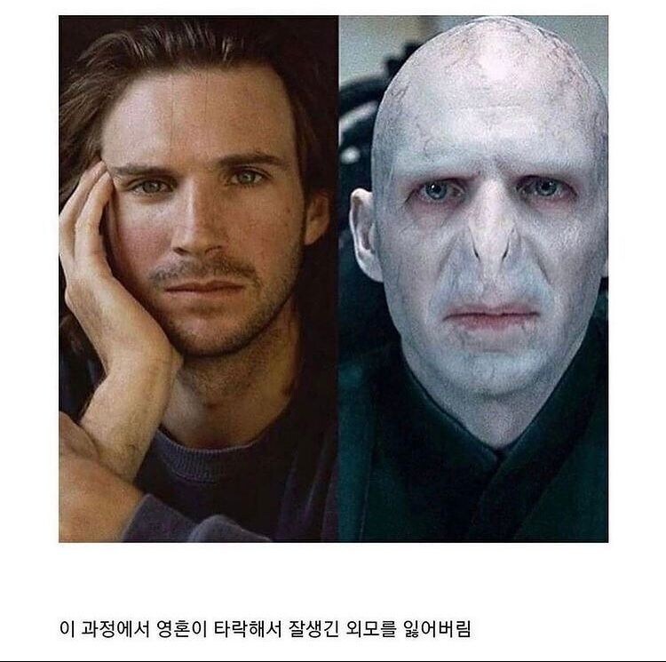 볼드모트가 영생을 얻기 위해 한일_2.jpg