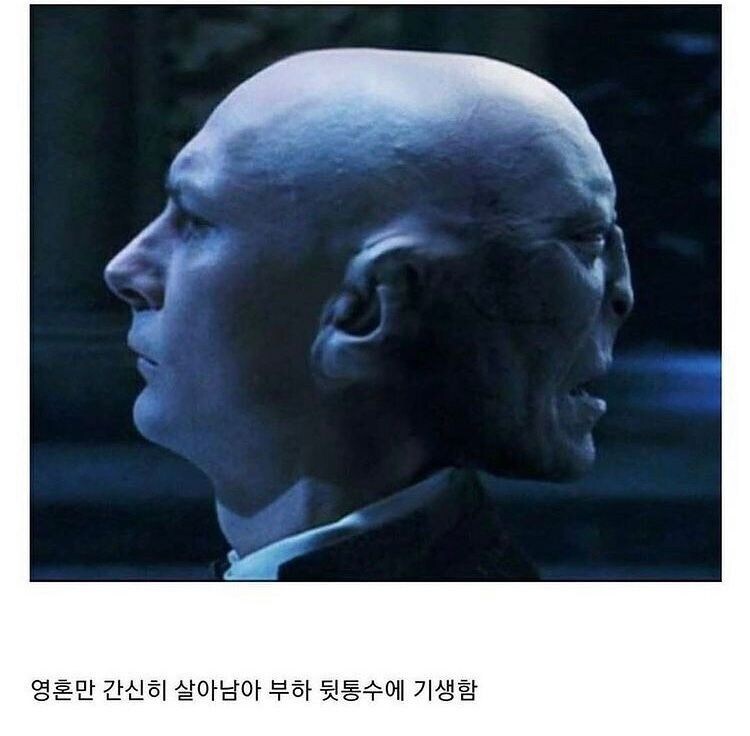 볼드모트가 영생을 얻기 위해 한일_4.jpg