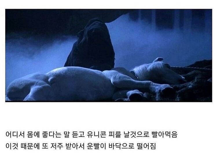 볼드모트가 영생을 얻기 위해 한일_5.jpg