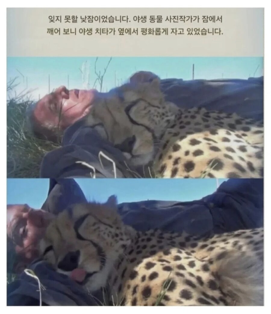 평생 잊지 못할 낮잠을 잔 남자_2.jpg