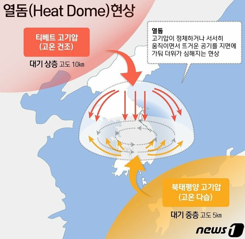 ??? : 팍씨 우리나라 물부족 국가야 알겠어?!_5.jpg