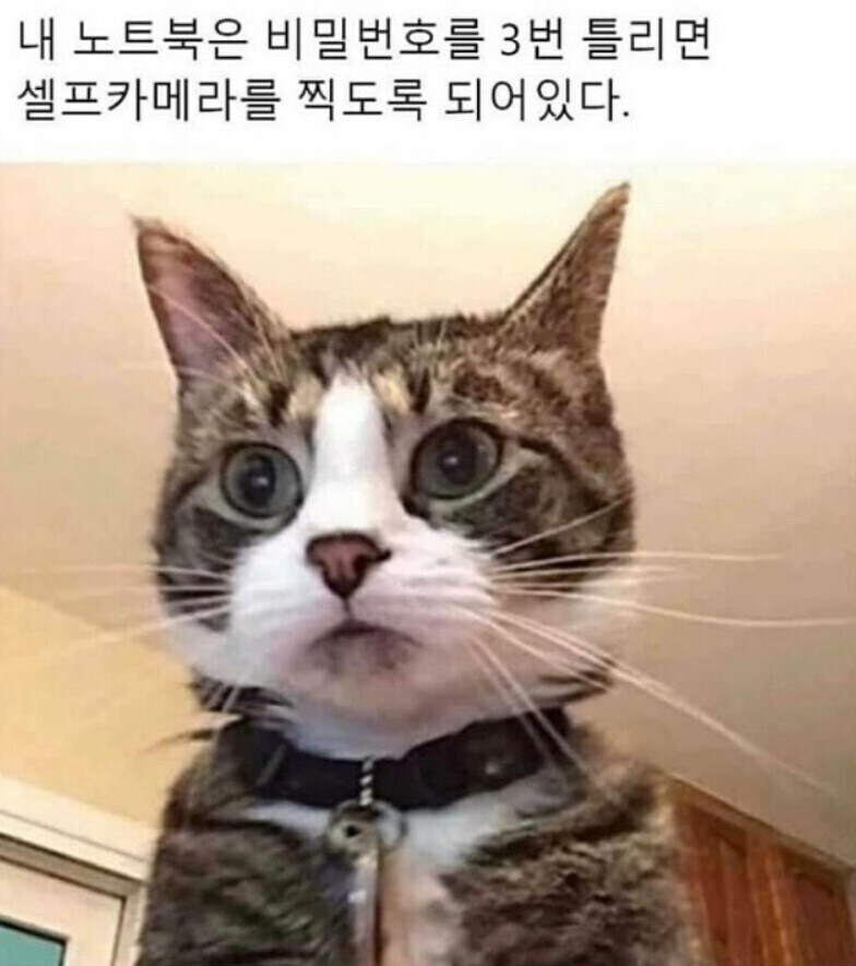 내 노트북은 비번을 세번 틀리면 셀카를 찍도록 되어있다_1.jpg