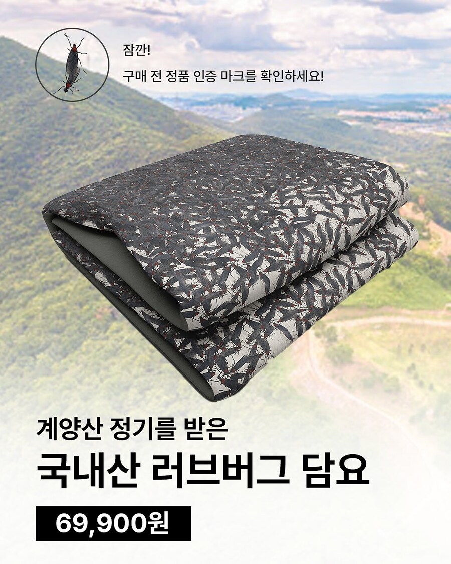 ♚♚ 계양산 $$정☆기받은☜☜러브버그 담요 출시※_4.jpg