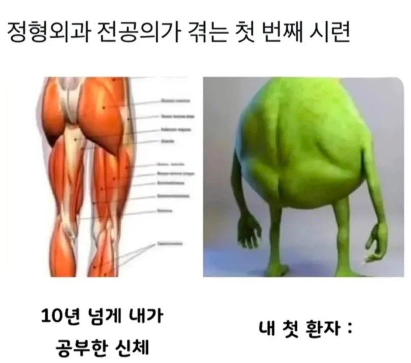 정형외과 전공의가 겪는 첫번째 시련_1.webp