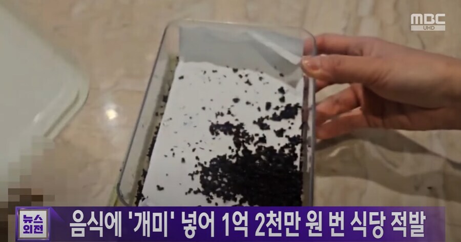 해외 건조 식용개미를 사서 식재로 쓴 식당이 잡힌 이유.jpg_2.jpg