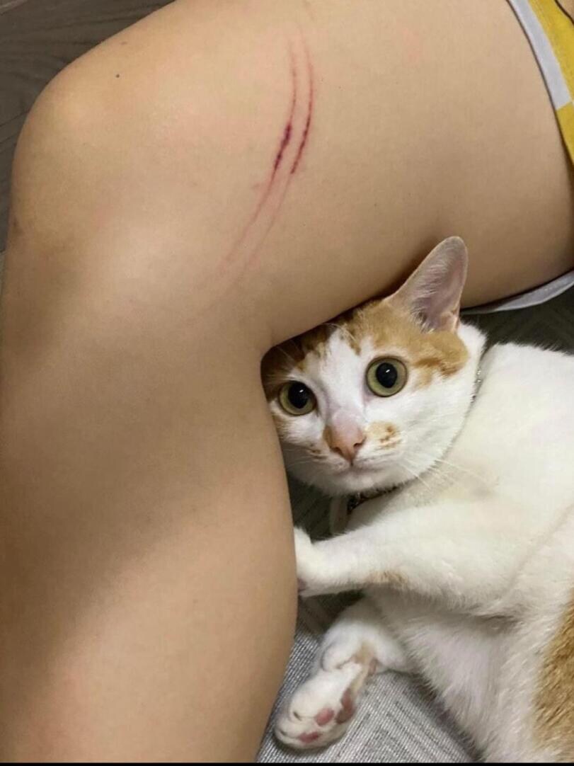 뭘 보냥? 뭐 그래서 블만있냥??_1.jpg