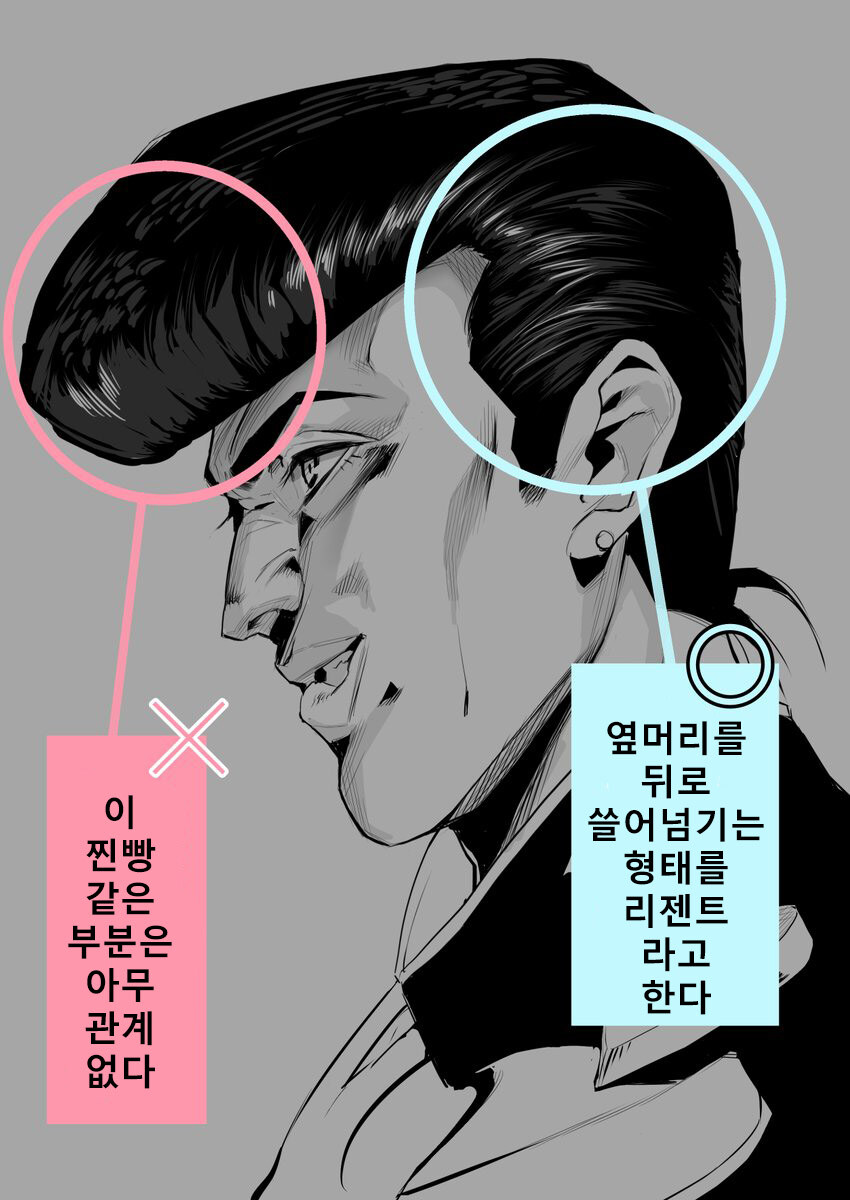 리젠트컷에 대한 오해와 진실.jpg_4.jpg