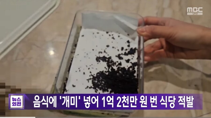 음식에