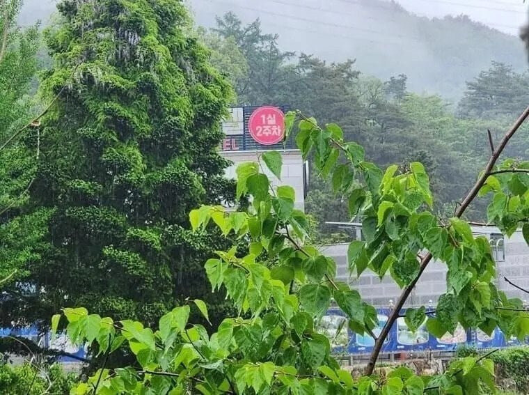 산속 모텔의 영업 방법_1.jpg