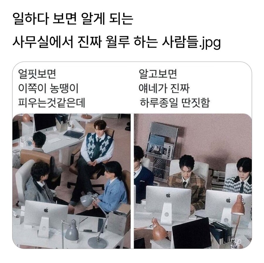 일하다 보면 알게 되는 진짜 월급루팡.jpg_1.jpg