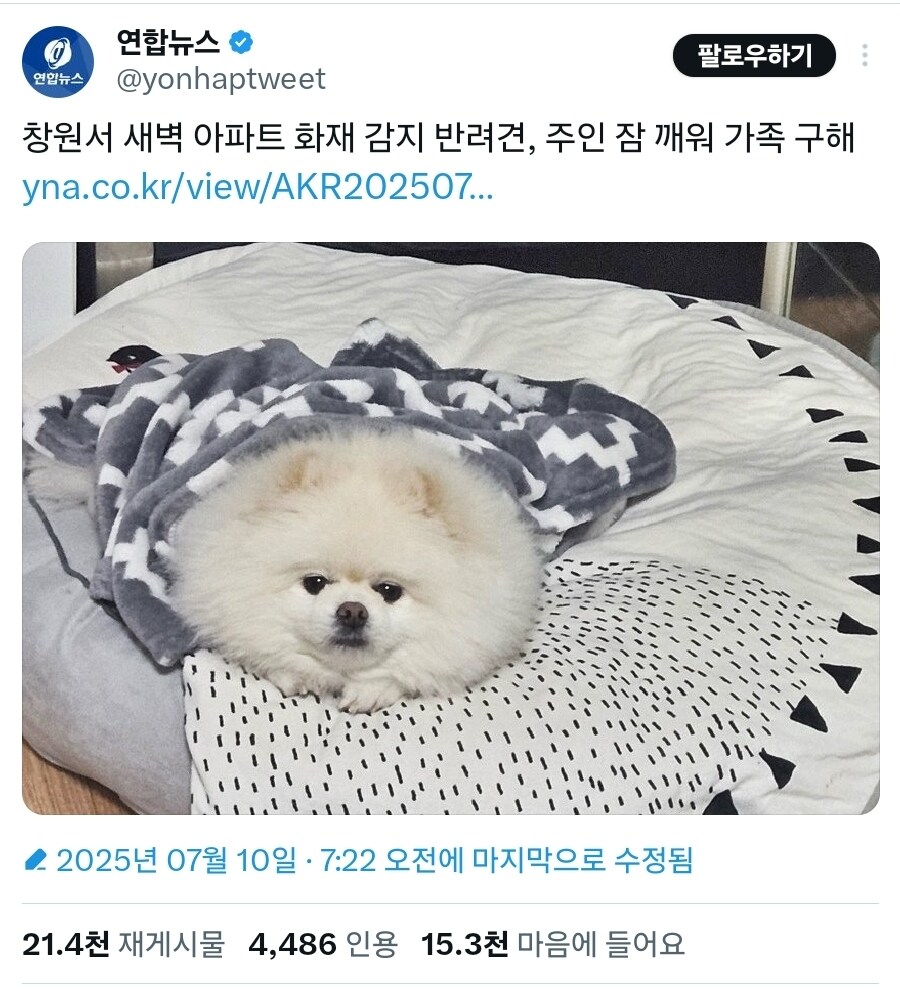 기자 : 기사 쓰려고 하는데 사진 한장만 주시겠어요 ?_2.jpg