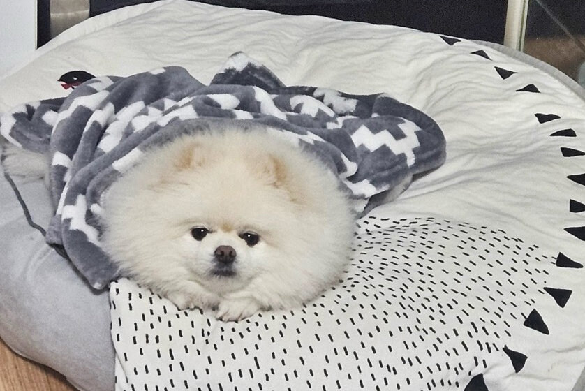 기자 : 기사 쓰려고 하는데 사진 한장만 주시겠어요 ?_3.jpg