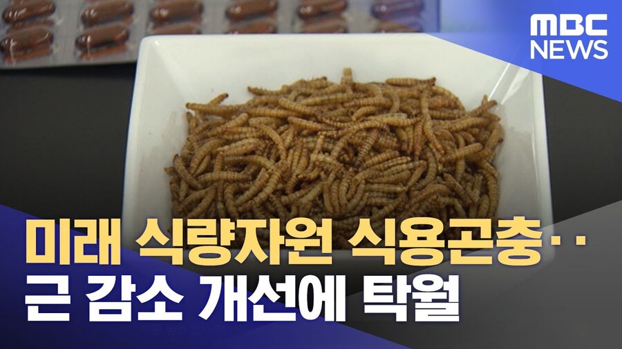 이악물고 배양육 기술을 응원해야 하는 이유_1.jpg
