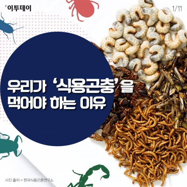 이악물고 배양육 기술을 응원해야 하는 이유_2.jpg