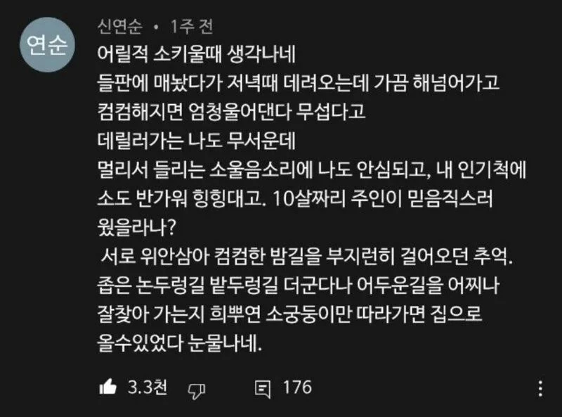 소는 영리하다.jpg_2.webp
