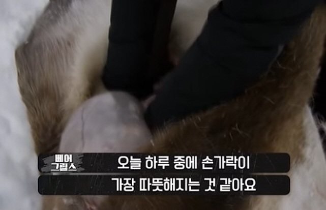 순록의 심장도 먹어본 베어 그릴스_2.jpg