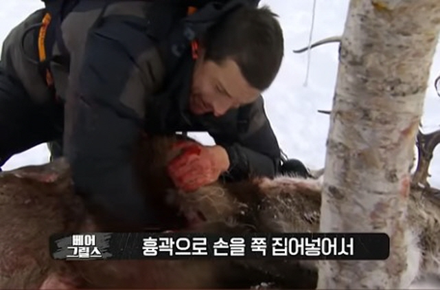 순록의 심장도 먹어본 베어 그릴스_3.jpg