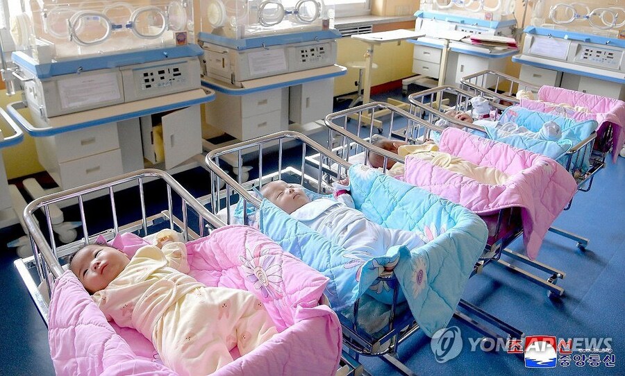 북한에서 처음으로 다섯쌍둥이 태어나_1.png