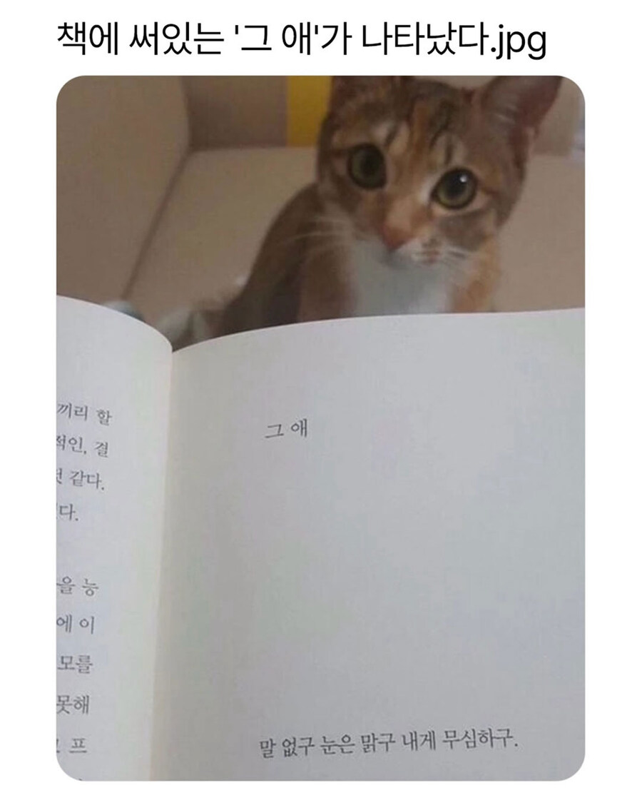 책에 써있는