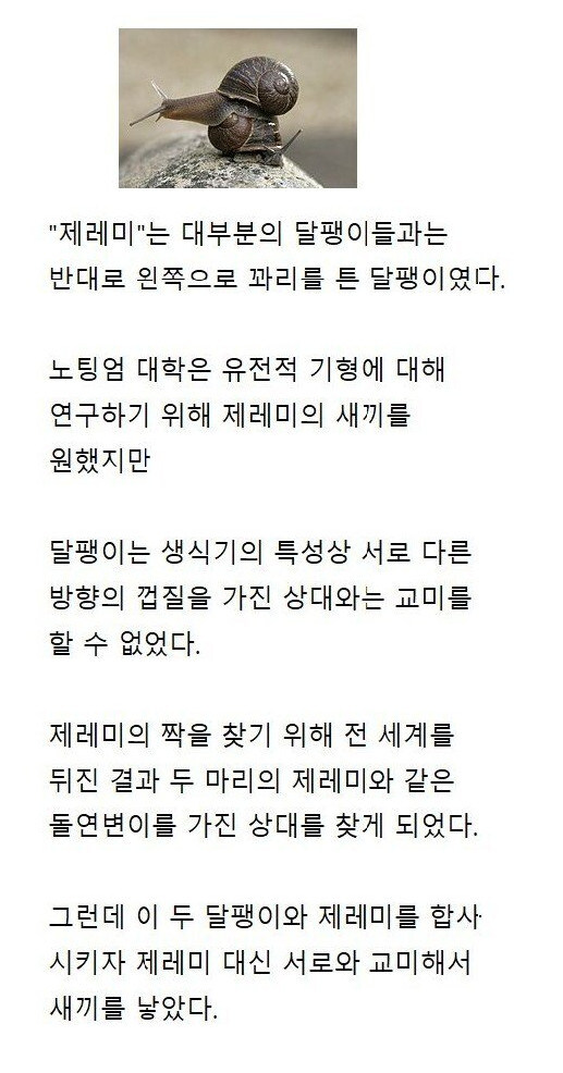 교미 한번 시키려고 전세계를 뒤진 결과_1.jpg