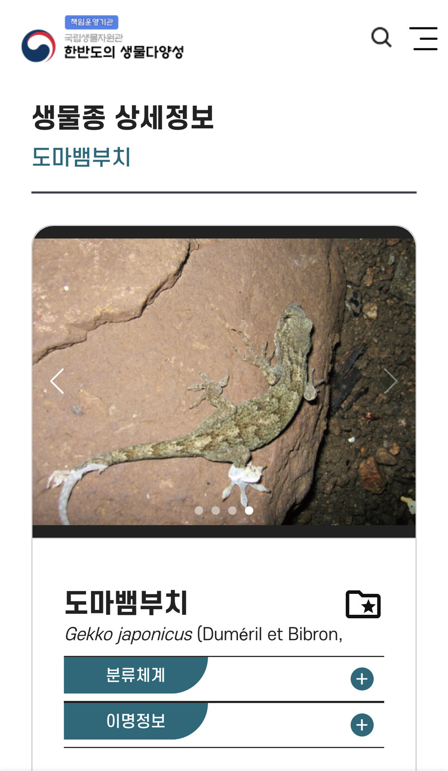 의외로 국내에서 서식하는 파충류_3.jpg