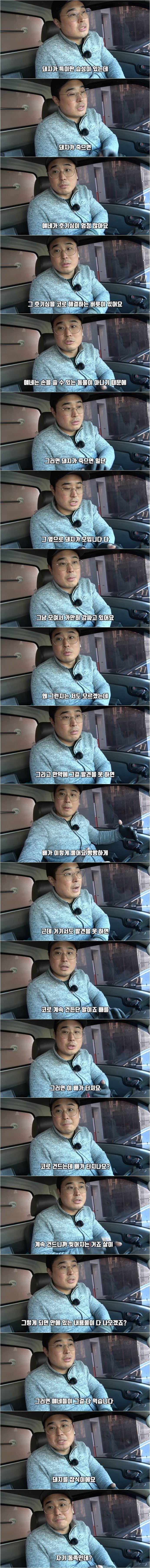 오싹오싹 돼지농장.jpg_1.jpg
