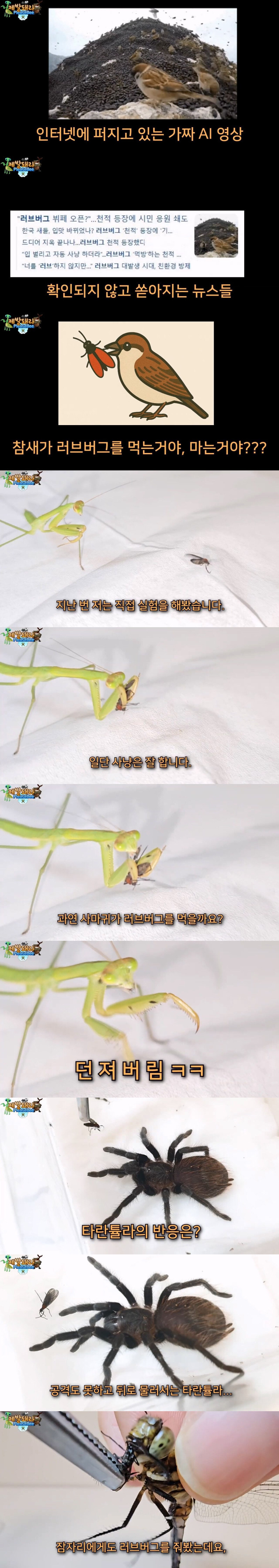 다시 해로운 새가 된 참새_1.jpg
