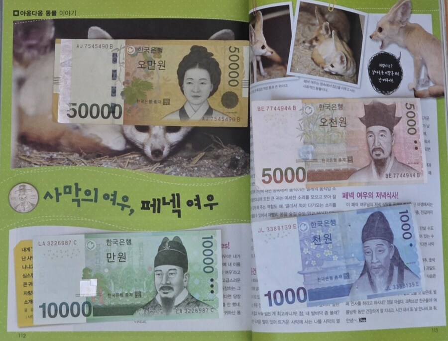 현찰 모델 실제 모습 vs 현찰 66100원.jpg_1.jpg
