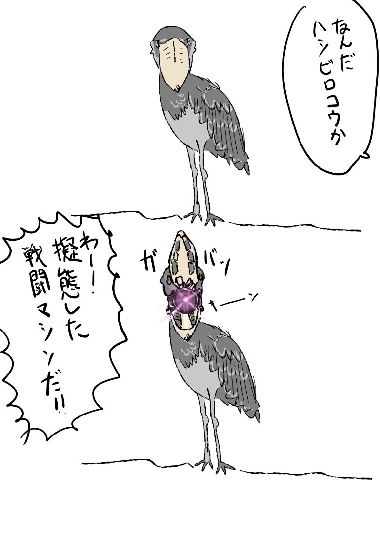 위험한 넓적부리황새.jpg_1.jpg