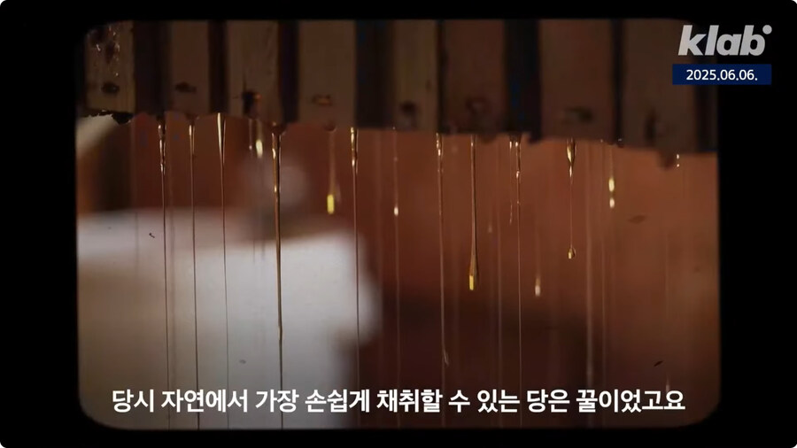 청이 한국음식인 이유.jpg_4.jpg