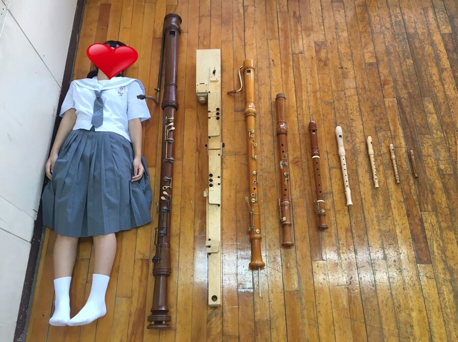 사람들이 잘 모르는 리코더 크기 수준_1.jpg