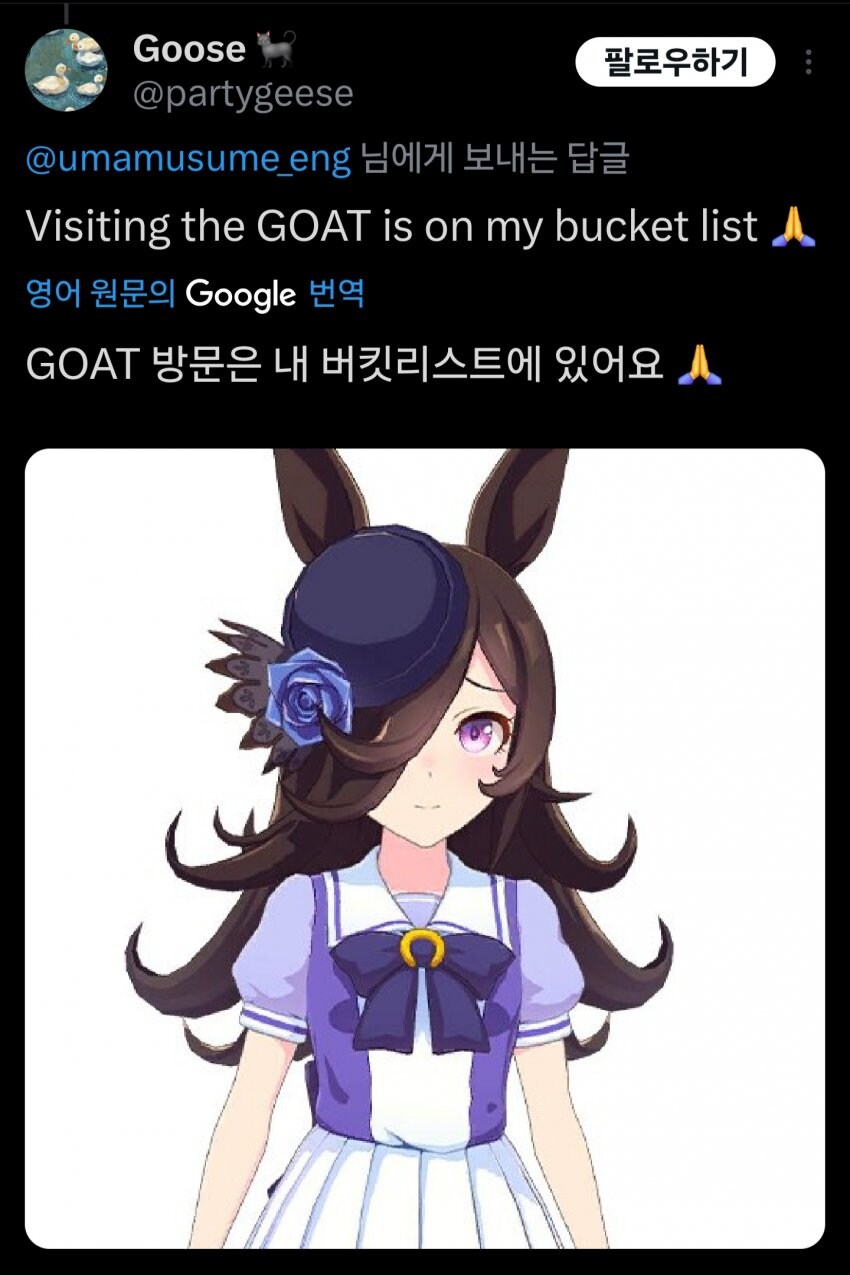 불가능한 버킷리스트를 가진 양붕이_1.jpg
