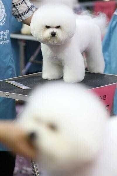 무조건 저년보다 이쁘게 해주세요!!_1.jpg