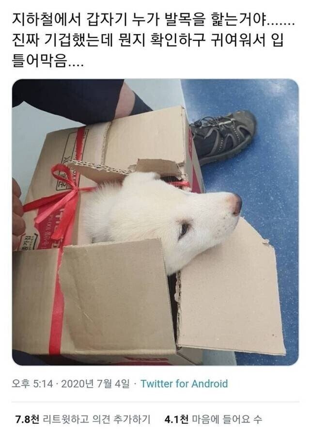 여자 발목 핥다 걸린.jpg_1.jpg
