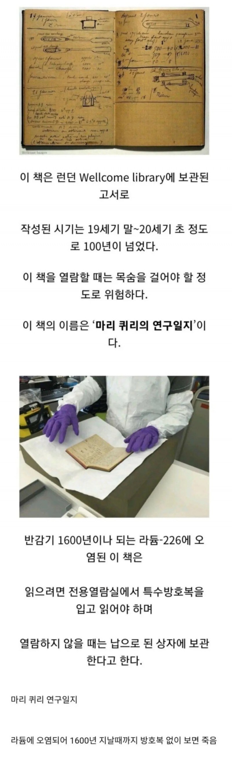 읽는자는 죽는 저주가 서려있는 책_1.jpg