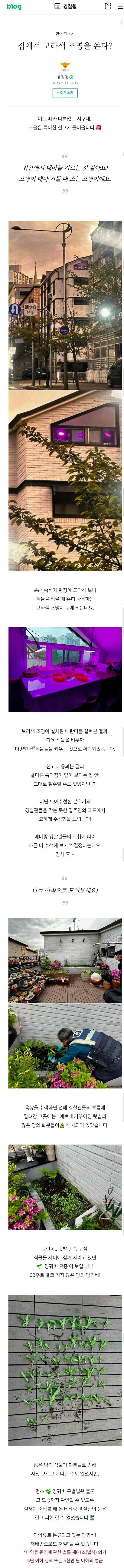 집안 보라색 조명 제보에 출동한 경찰 반전_1.jpg