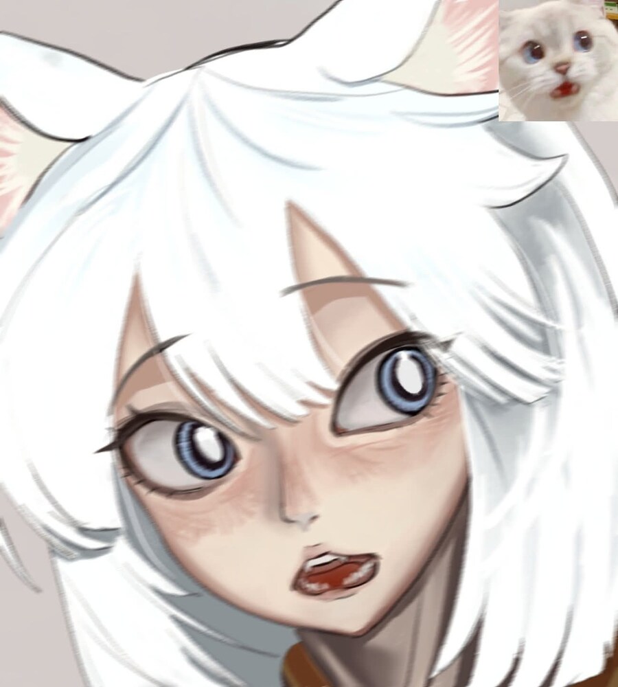 워해머 세계관 네코미미 고양이 수녀님_4.jpg