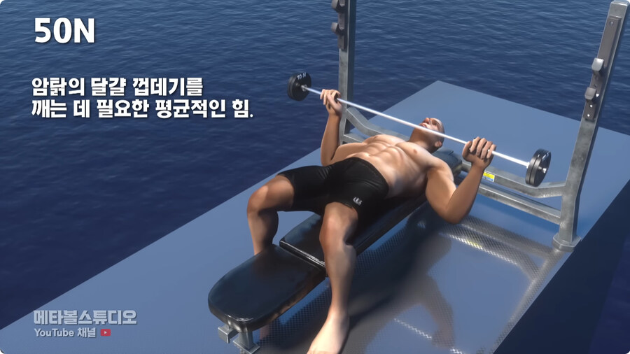힘의 크기 비교.jpg_1.jpg