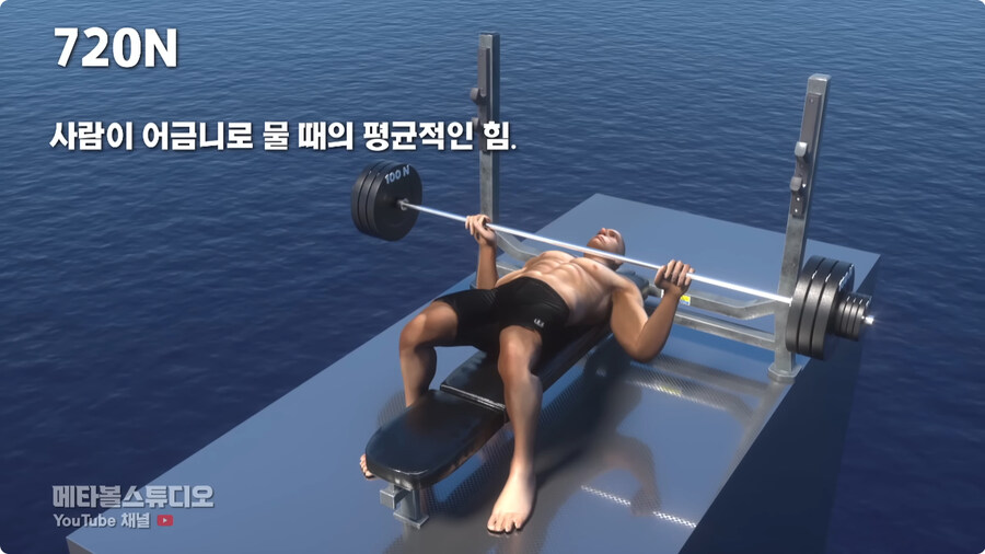 힘의 크기 비교.jpg_2.jpg