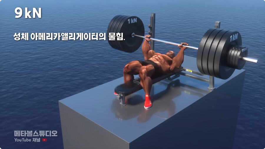 힘의 크기 비교.jpg_4.jpg