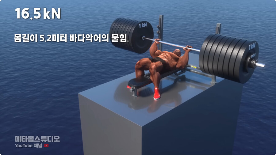 힘의 크기 비교.jpg_5.jpg