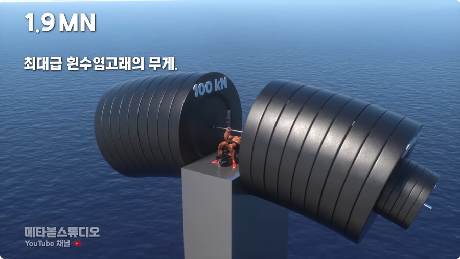 힘의 크기 비교.jpg_11.jpg