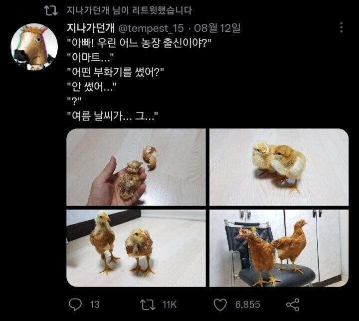 폭염 때 계란 사면 생기는 일.jpg_1.jpg