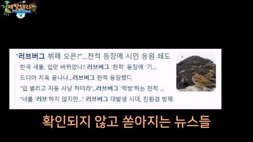 참새가 러브버그 먹는다는 말을 검증해봤다.JPG_1.jpg