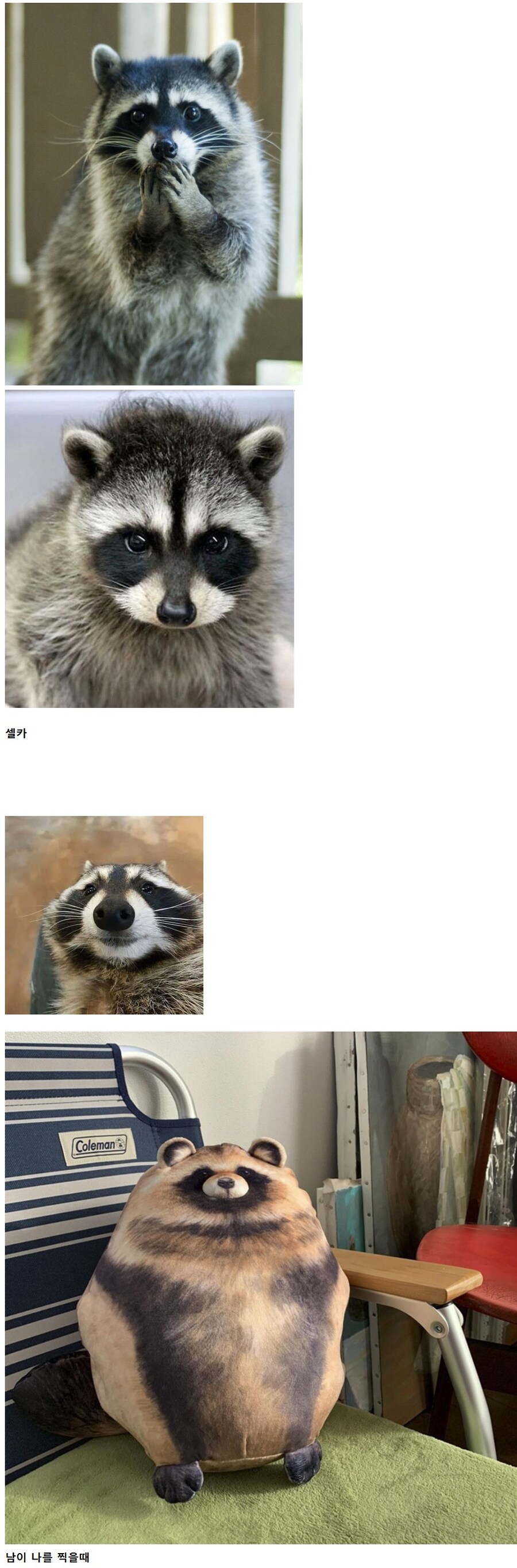 셀카 vs 남이 나를 찍을때_1.jpg