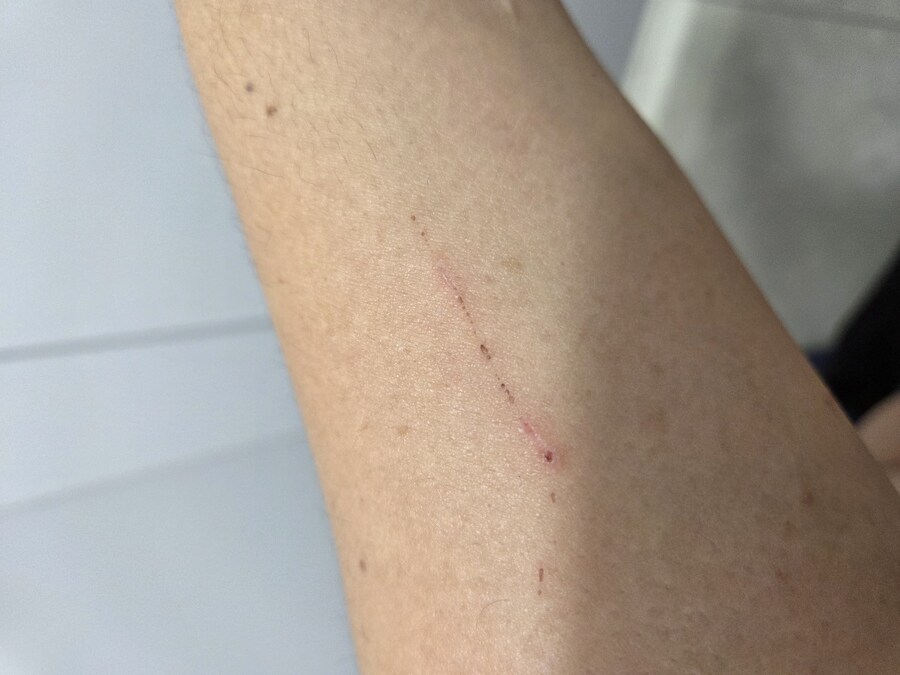 고양이 : 닷시는 안하겠쏘!!!!_1.jpg