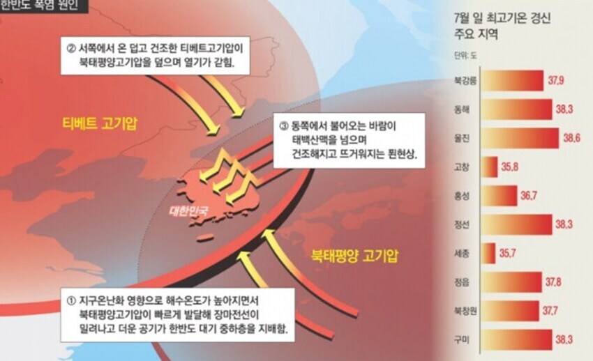 한국인들의 욕심은 끝이 없네요 진짜_1.jpg